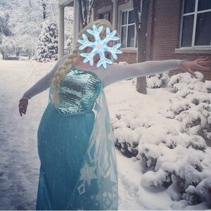 Deluxe 3-piece Frozen Elsa Costume with Wig